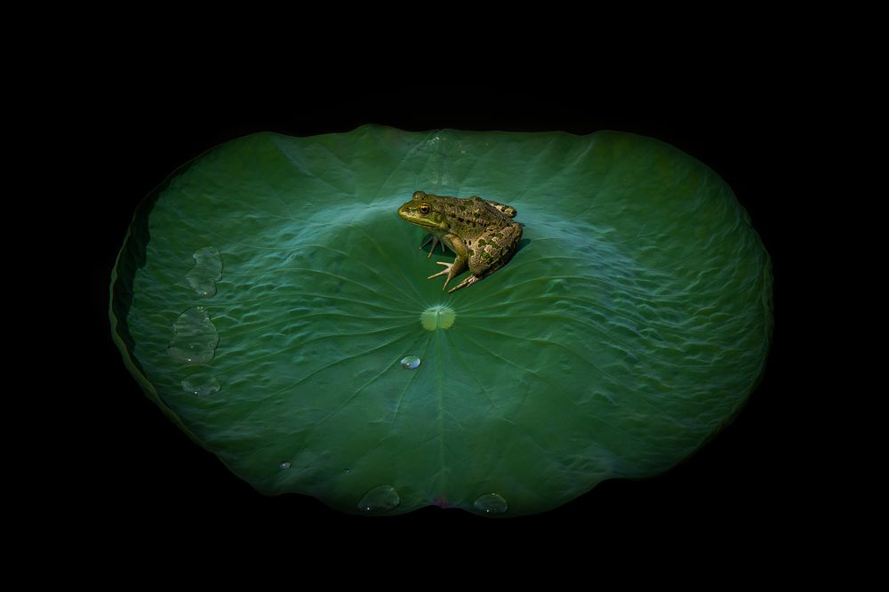 Photograph by Mostafa Mortazavi