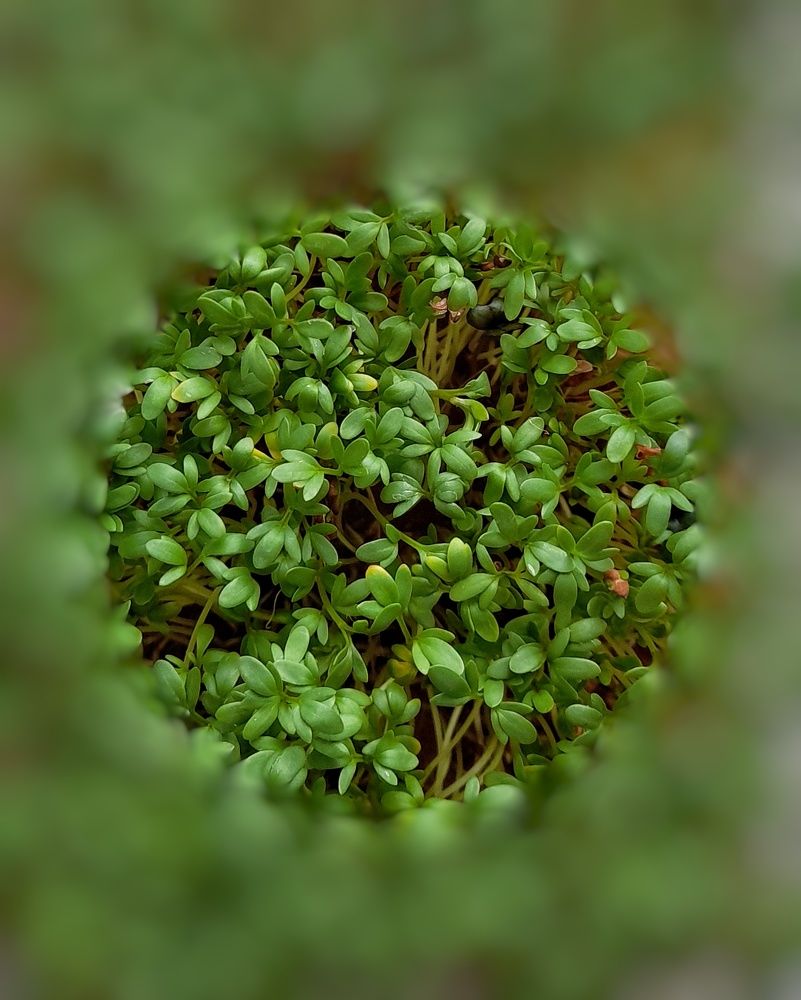 Фотография автора Тамара Караваева