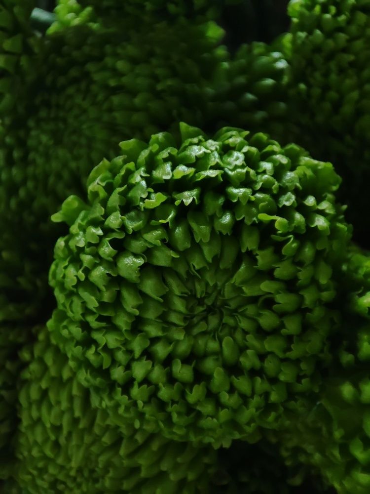 Photograph by Оксана Шевченко