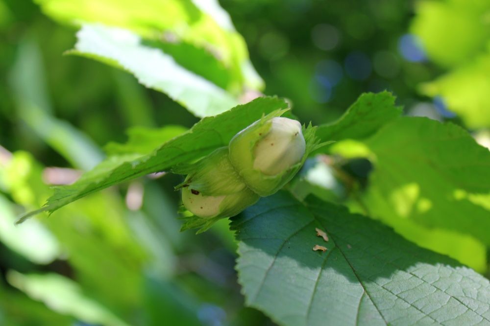 Photograph by Olga Bagaeva