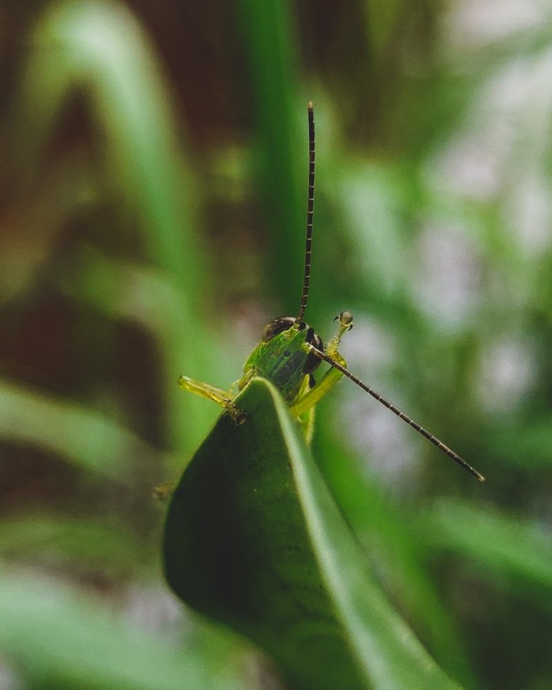 Photograph by Tushar Shetty
