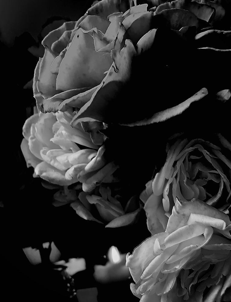 Photograph by Anna Petrova