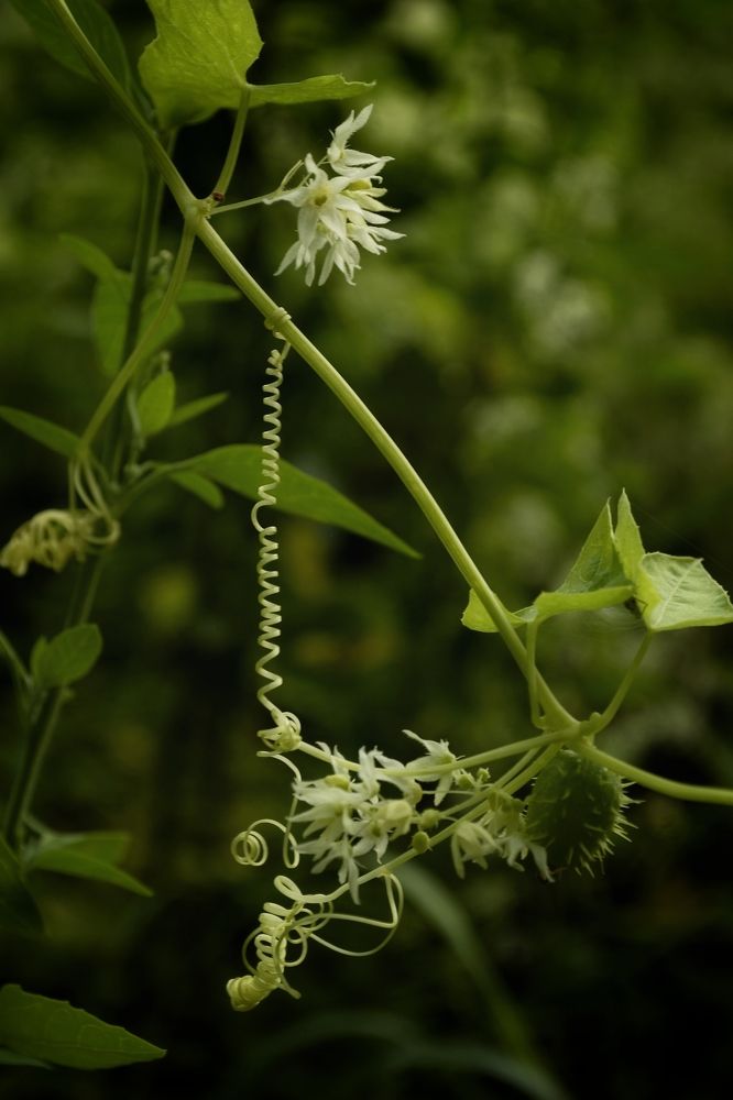 Photograph by Карина Слабкая