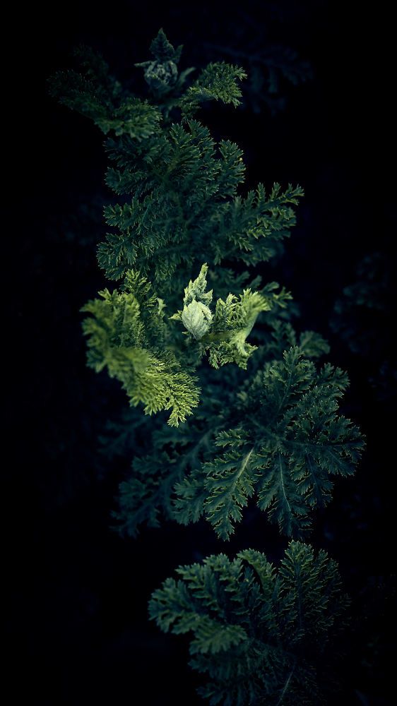 Photograph by Евгений Имамутдинов