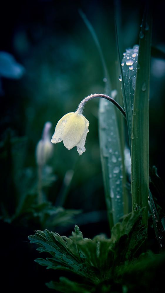 Photograph by Евгений Имамутдинов
