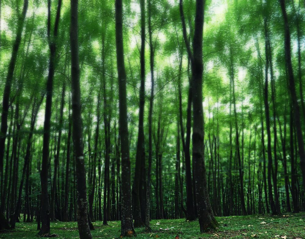 Photograph by Faezeh Fazeli