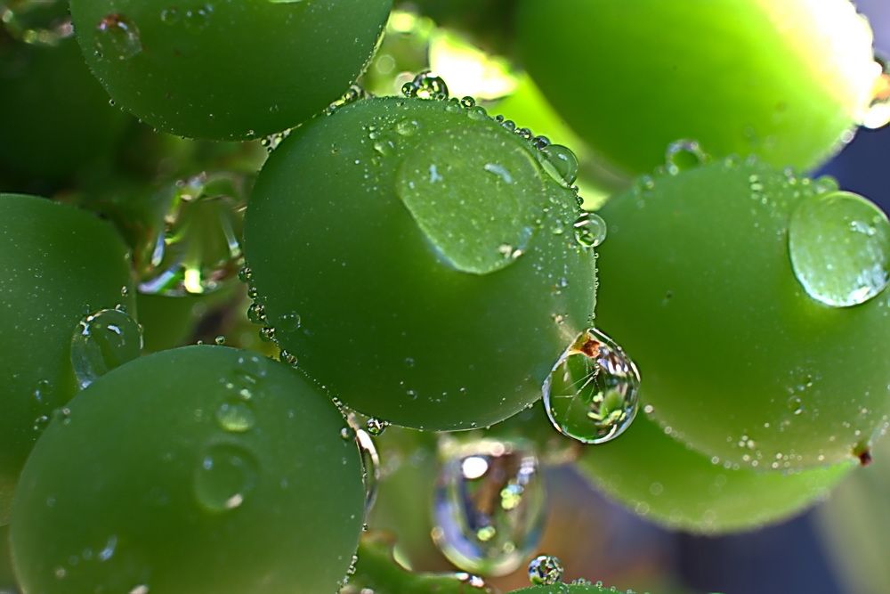 Photograph by Александр