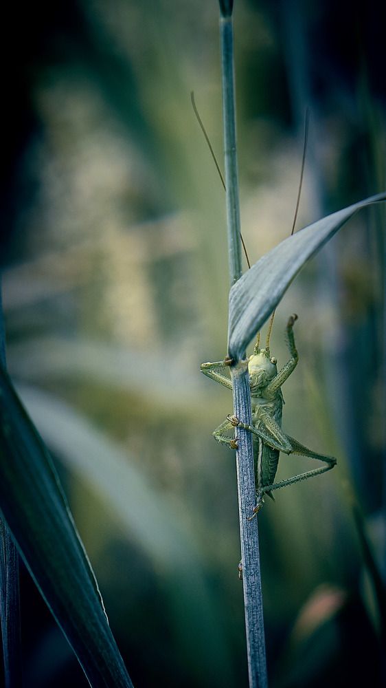 Photograph by Евгений Имамутдинов