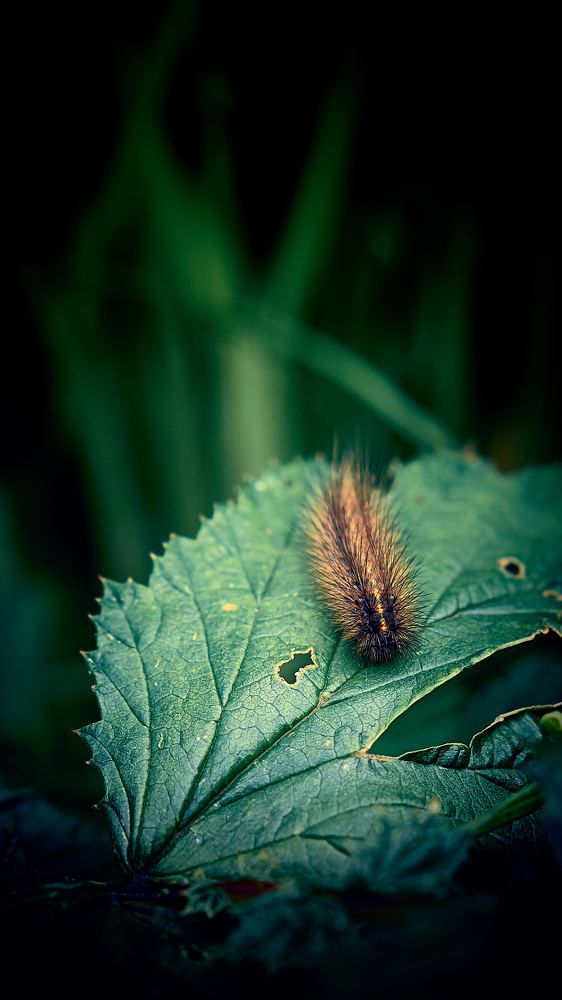 Photograph by Евгений Имамутдинов