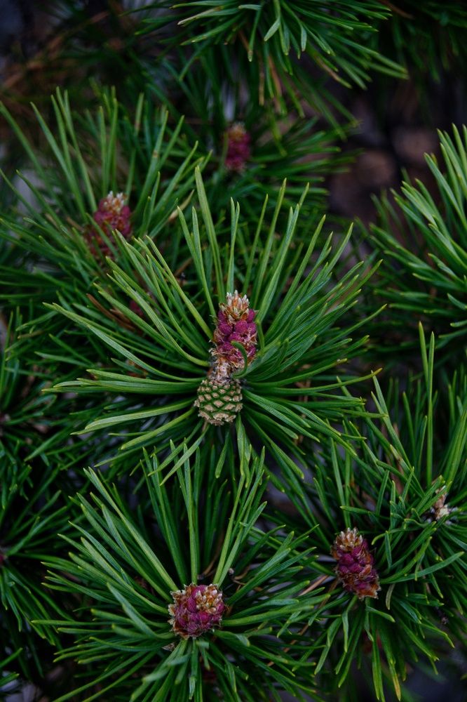 Photograph by Виктория