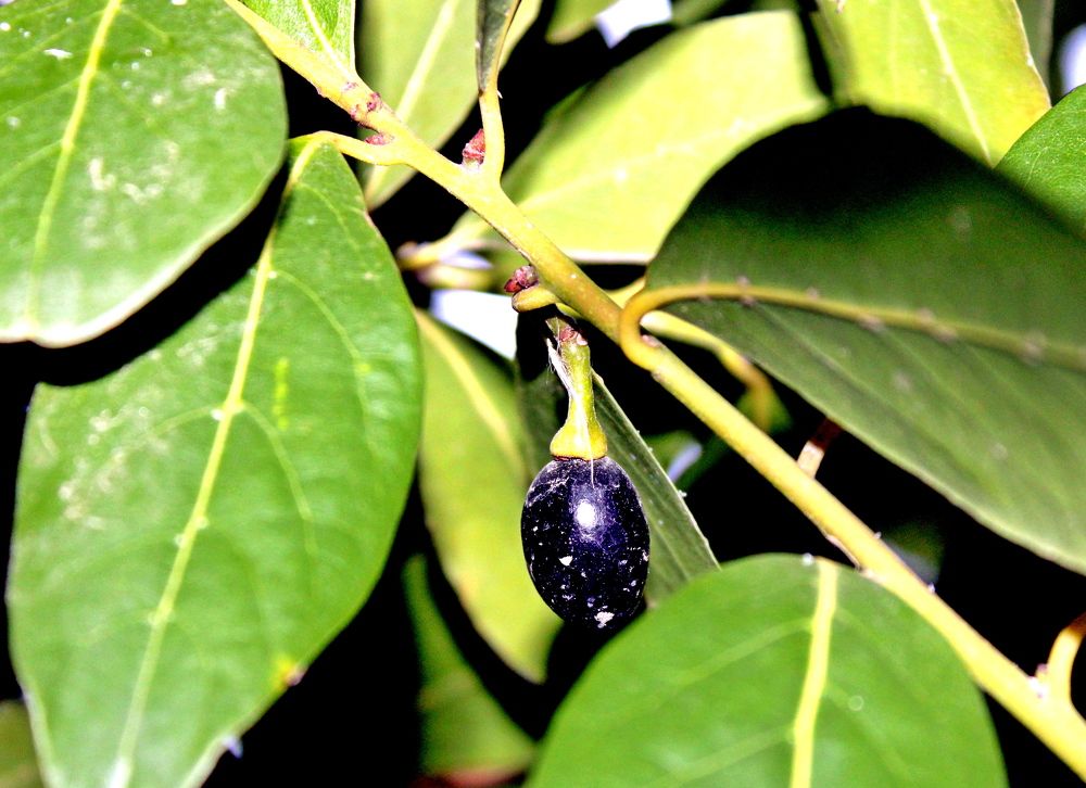 Photograph by Николай Немчанинов