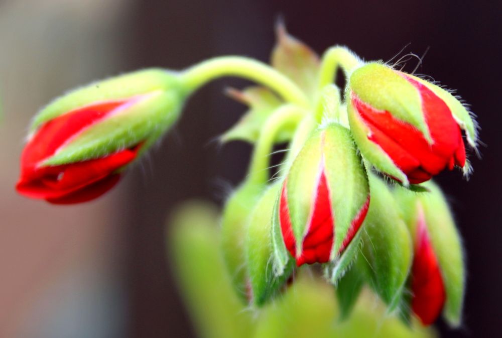 Photograph by Николай Немчанинов