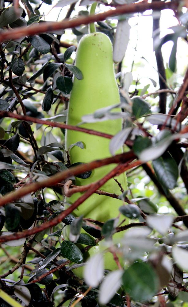 Photograph by Николай Немчанинов