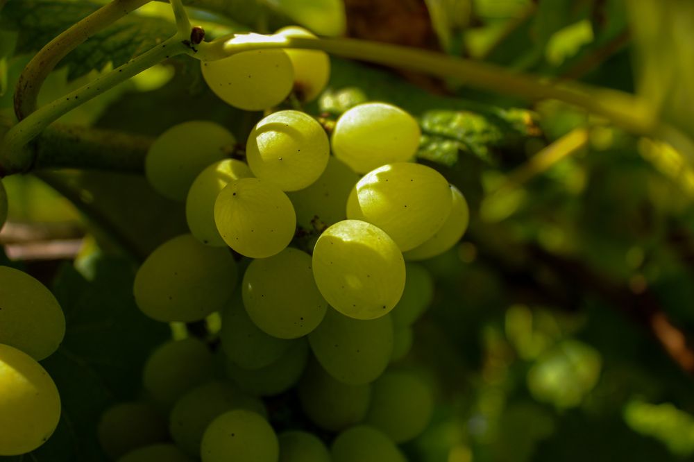 Photograph by Ирина Дмитриенко