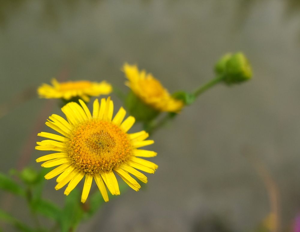 Photograph by Анна Матецкая