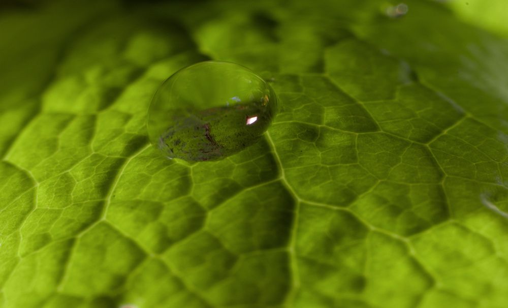 Photograph by Викулов Сергей