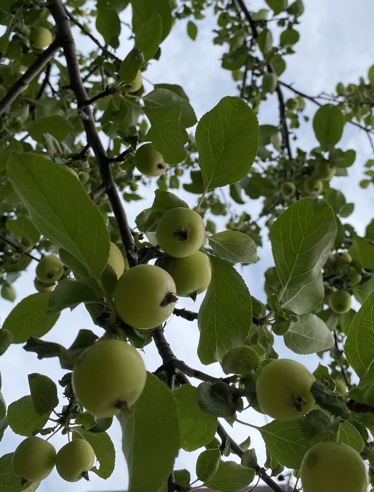 Photograph by Алиса Лукина