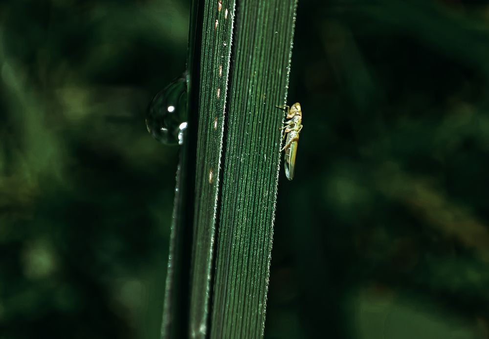 Случайности