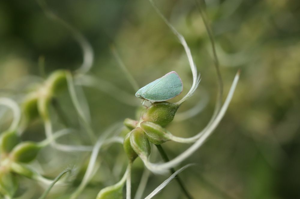 Photograph by Se Lena