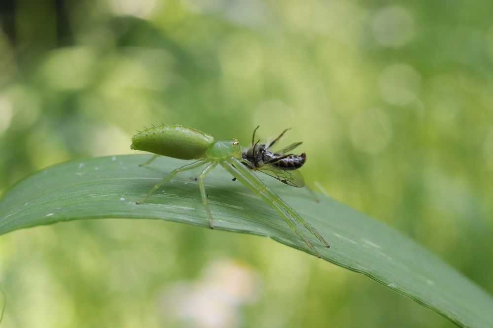 Photograph by Se Lena