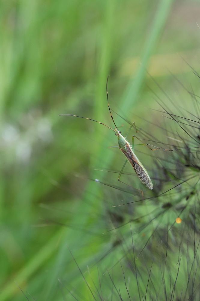 Photograph by Se Lena