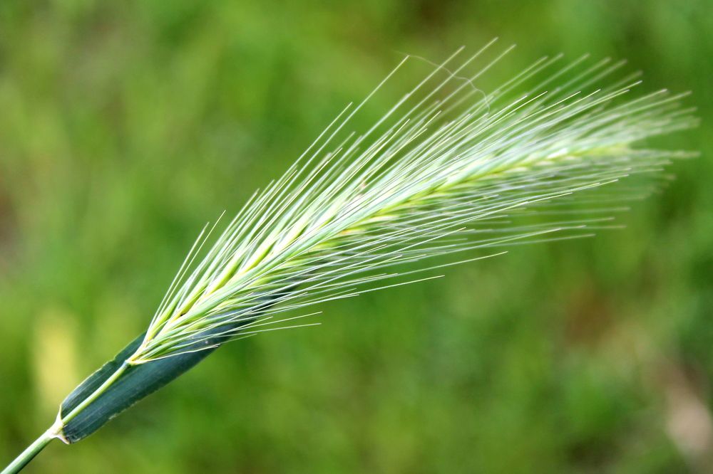 Photograph by Николай Немчанинов