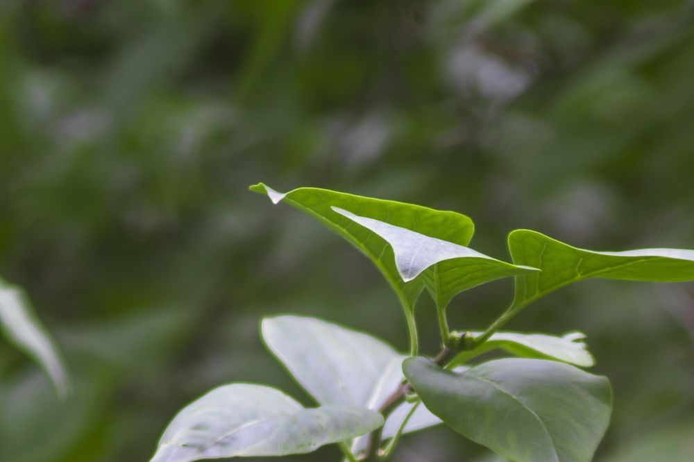 Photograph by Викулов Сергей