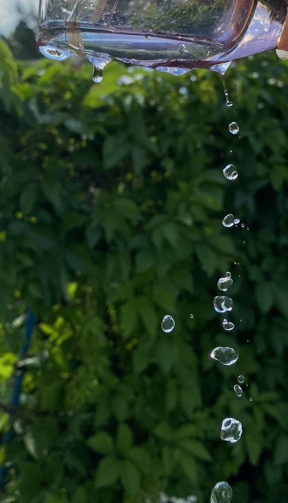 Photograph by Алиса Лукина