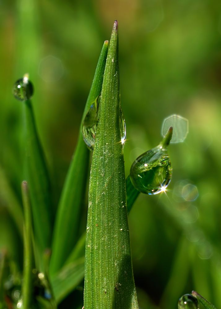 Photograph by Людмила Железнова