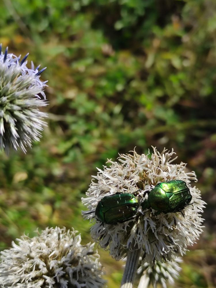 Photograph by Светлана Холодова