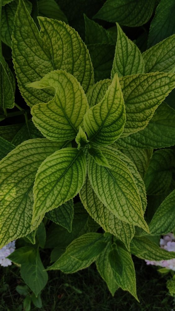 Photograph by Светлана Холодова