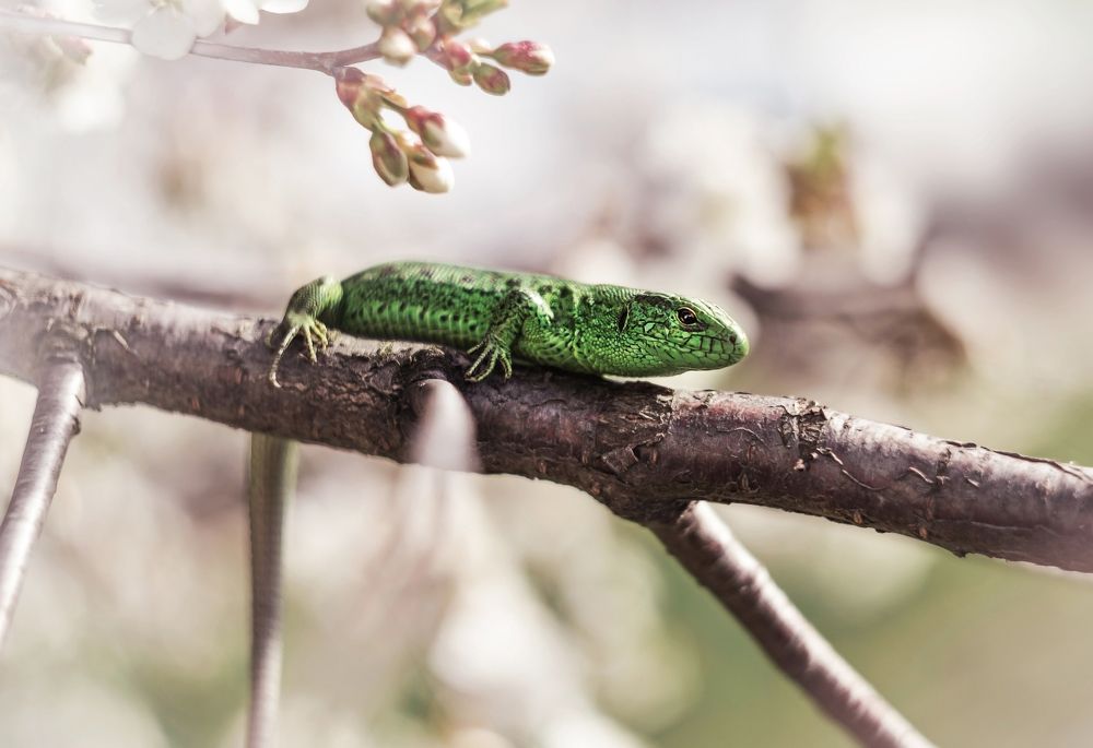 Photograph by Лапшина Владлена