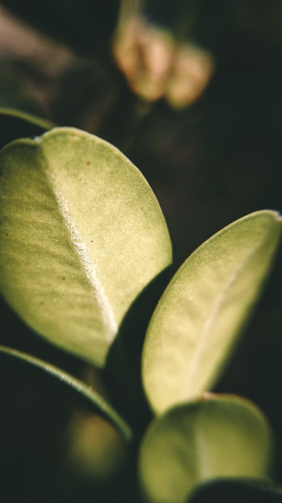 Photograph by Alexander Dimov