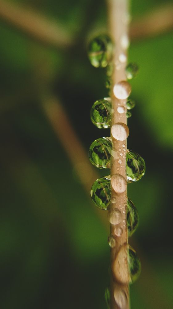 Photograph by Alexander Dimov