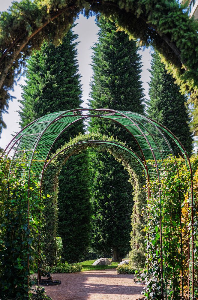 Photograph by Прохоров Денис