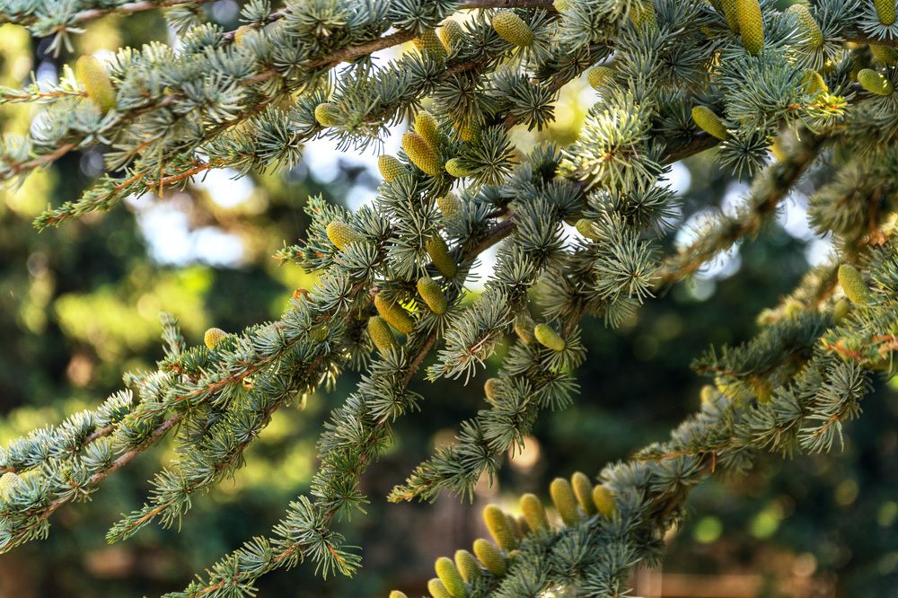 Photograph by Прохоров Денис