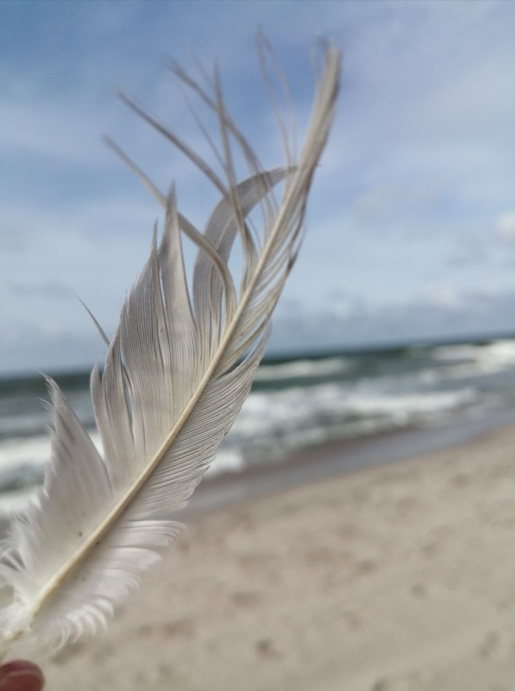 Photograph by Галина Смирнова