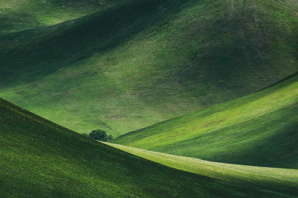 Photograph by Евгений Гецев