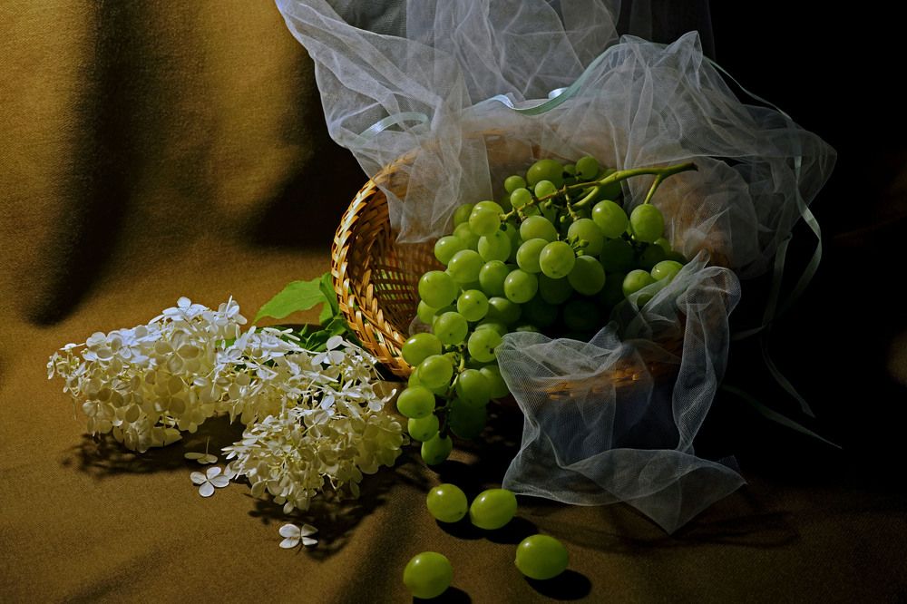 Photograph by Tatiana Glazkova