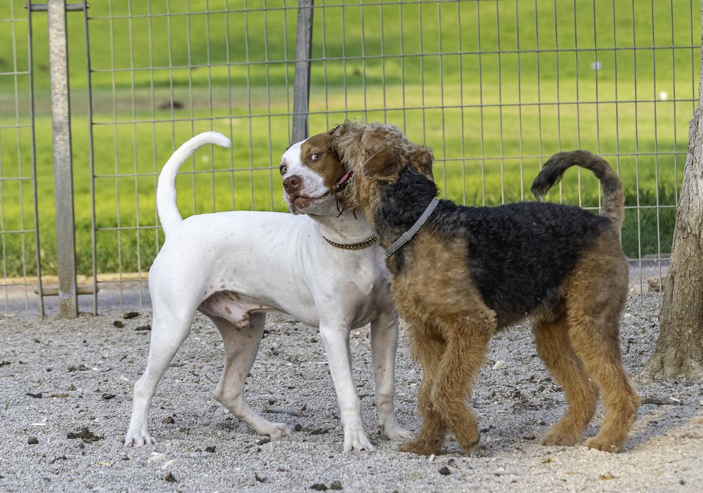 Photograph by Александр Ляндрес