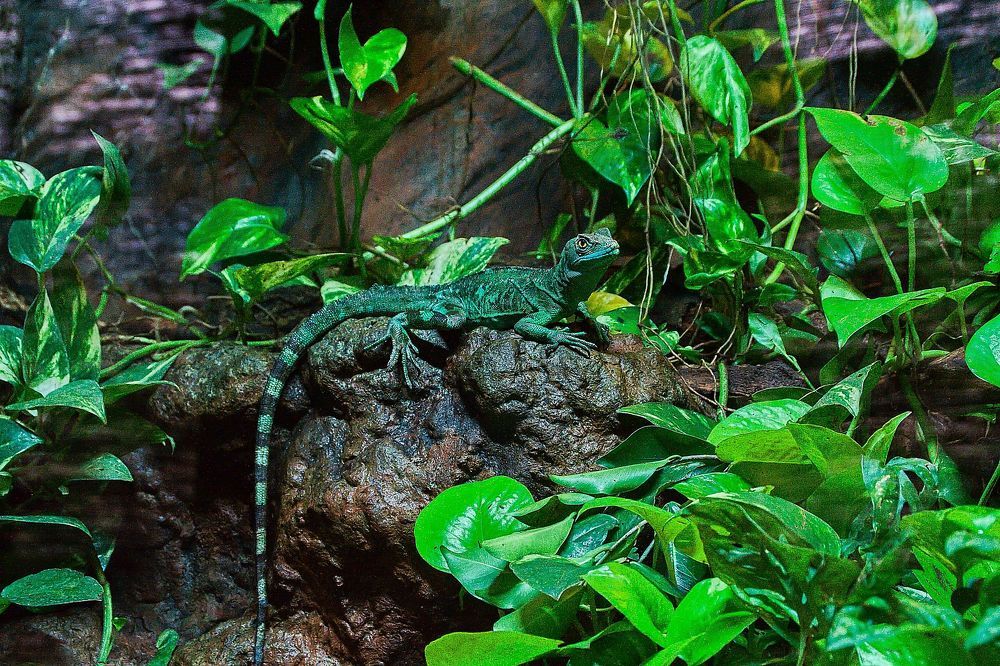 Фотография автора Jaroslav Hanzalík