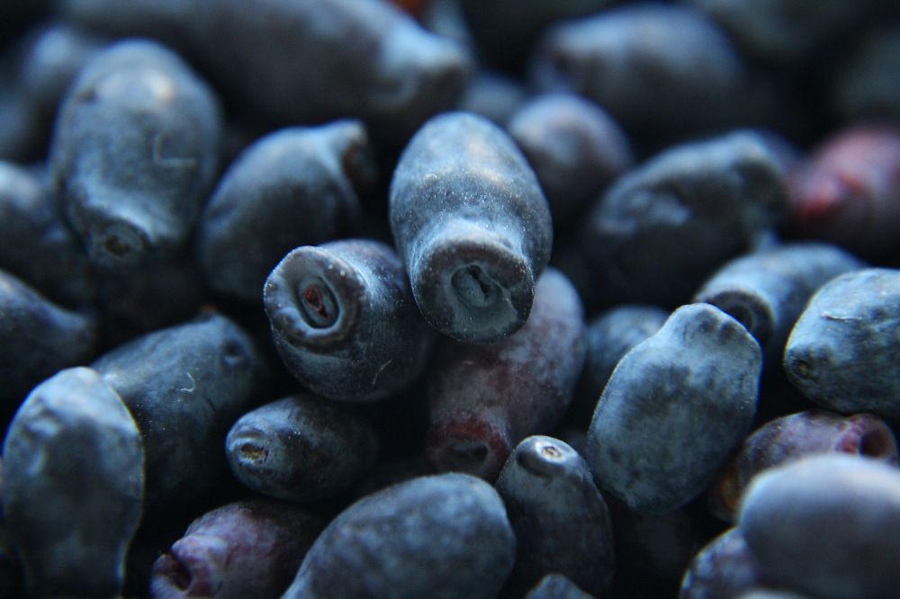 Photograph by Юрий Чистяков