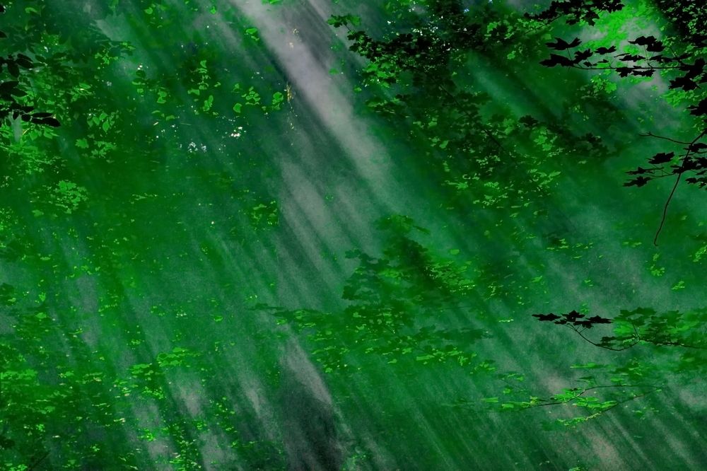 Photograph by Roman Popov