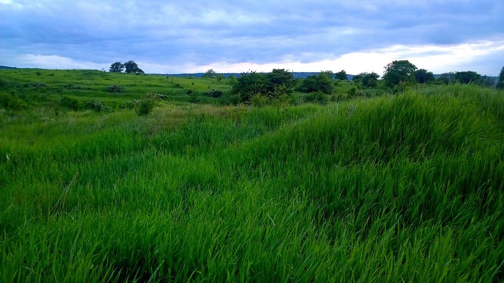 Photograph by Вадим Юрьевич