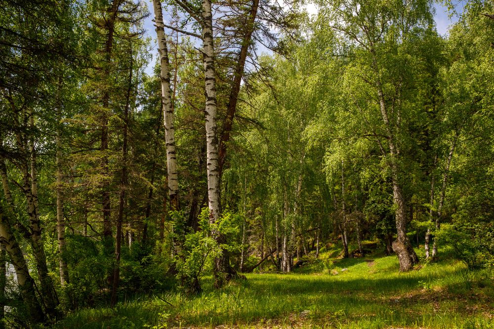 Photograph by Людмила Аксенова