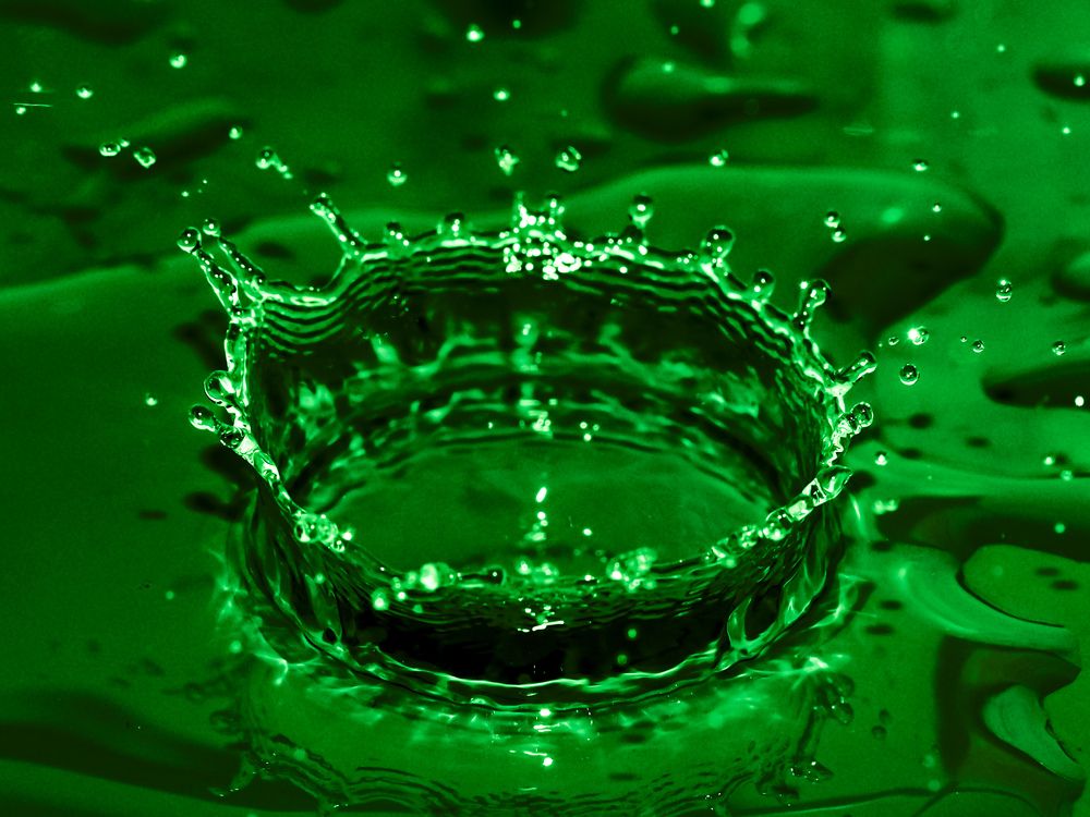 Photograph by Маргарита Смоленская