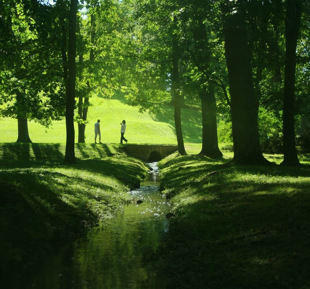 Photograph by Шварц Екатерина