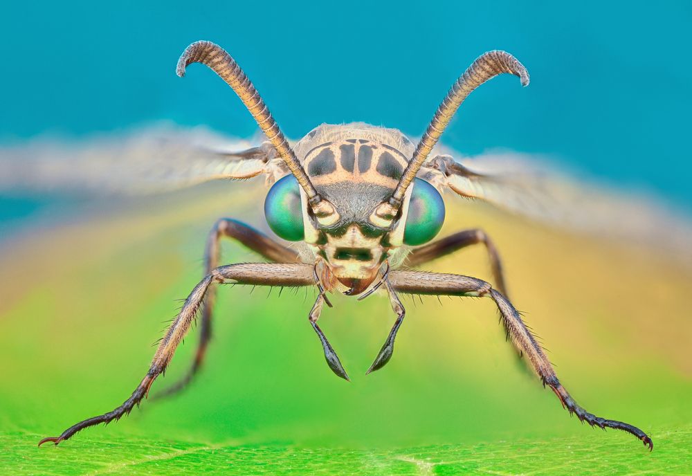 Photograph by Tsvetan Ganev