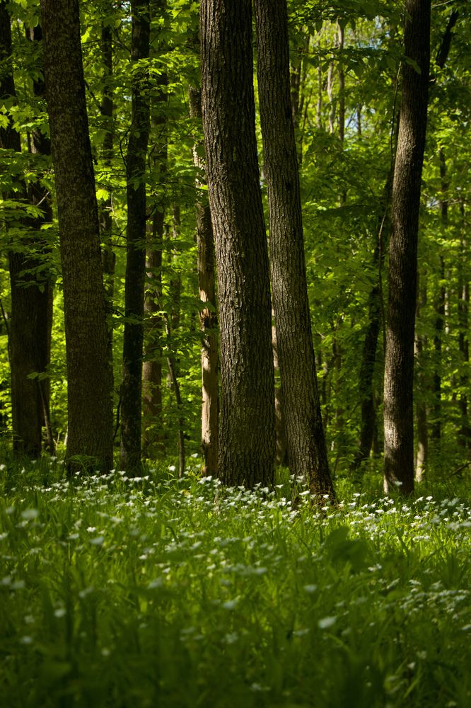 Photograph by Станислав Кунецкий