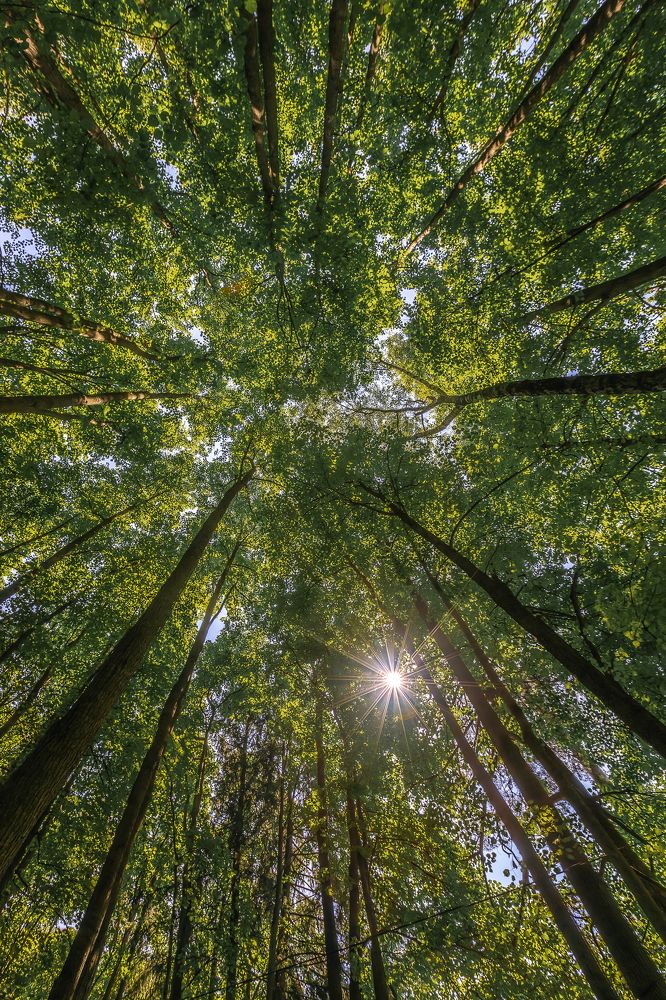 Фотография автора Rom@shkin